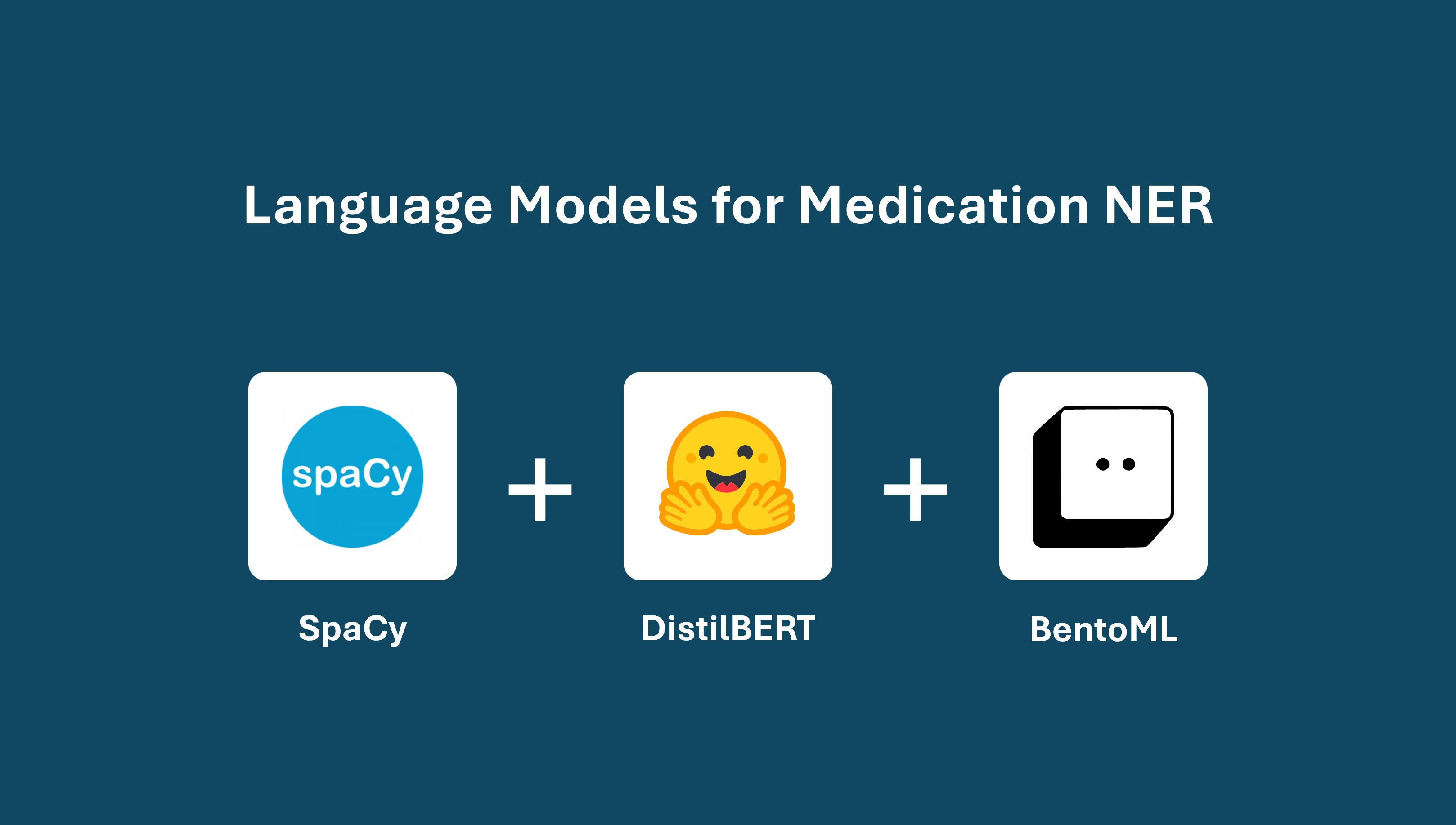 Small Language Models for Medication NER
